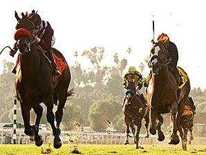 Ambitious Brew wins the 2014 Sensational Star Stakes.