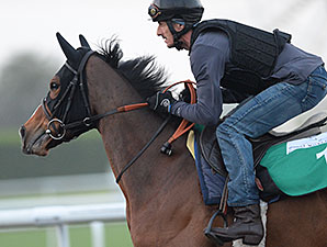 Ambivalent, Dubai World Cup 2014