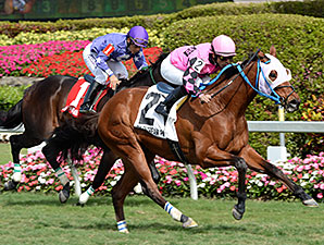 Amelia's Wild Ride wins the 2015 Gulfstream Park Turf Sprint Stakes.
