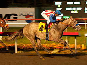 American Lady wins the 2012 Reminiscing Stakes.