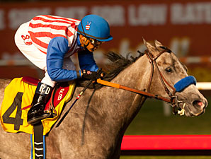 American Lady wins the 2012 Reminiscing Stakes.