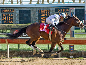 American Lion wins the 2010 Illinois Derby.
