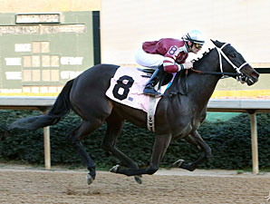 American Sugar wins the Dixie Belle Stakes.