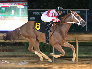 Amherst Street wins the 2013 Henry Mercer Memorial Stakes.