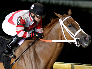 Amherst Street wins the 2013 Henry Mercer Memorial Stakes.