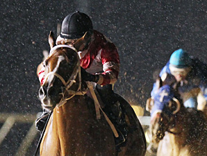 Amherst Street wins the 2013 Henry Mercer Memorial Stakes.