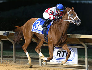 Amherst Street wins the 2013 Tri-State Futurity.