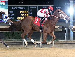 Amherst Street wins the 2013 West Virginia Futurity.