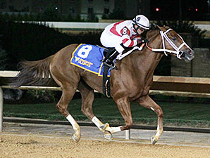 Amherst Street wins the 2013 West Virginia Vincent Moscarelli Memorial Breeders' Classic Stakes.