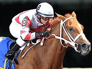 Amherst Street wins the 2013 West Virginia Vincent Moscarelli Memorial Breeders' Classic Stakes.