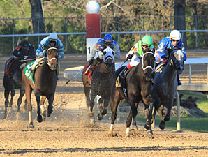 Amie's Dini wins the 2012 Martha Washington.