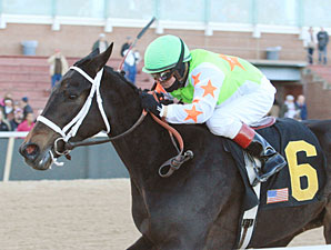 Amie's Dini wins the 2012 Martha Washington.