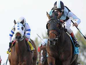 Amira's Prince wins the 2013 Mac Diarmida Stakes.