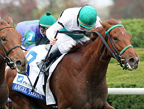 Angel Terrace wins the 2012 Pin Oak Valley - First Division.