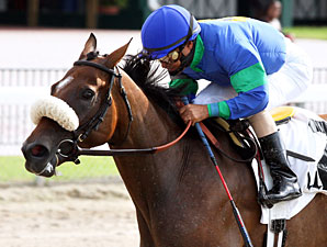 Angelica Zapata wins the 2012 Nancy's Glitter.