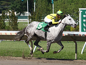 Angel's South - Allowance Win, June 14, 2013.