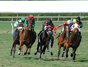 Animal Kingdom Allowance Win, 02/18/12.