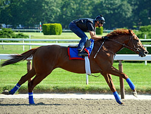 Animal Kingdom at Belmont on June 6, 2011.