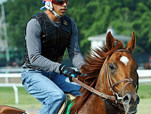 Animal Kingdom at Belmont on June 8, 2011.