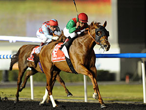 Animal Kingdom wins the 2013 Dubai World Cup.