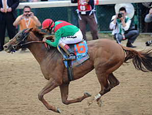 Animal Kingdom wins the 2011 Kentucky Derby.