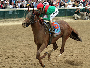 Animal Kingdom wins the 2011 Kentucky Derby.
