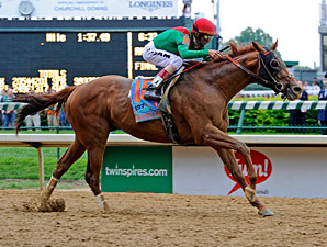Animal Kingdom cleared for exercise – Herringswell Stables Animal Kingdom cleared for exercise – Herringswell Stables