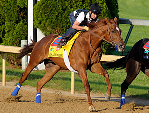 Animal Kingdom works at Churchill Downs.