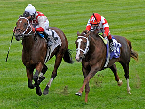 Animal Spirits in the 2011 Bourbon Stakes.