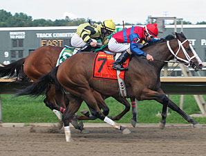 Ann's Smart Dancer wins the 2011 Dr. Teresa Garofalo Stakes.
