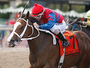 Ann's Smart Dancer wins the 2011 Dr. Teresa Garofalo Stakes.