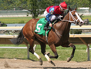 Ann's Smart Dancer wins the 2011 Caught in The Rain Stakes.