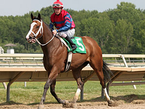 Ann's Smart Dancer wins the 2011 Caught in The Rain Stakes.