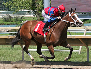 Ann's Smart Dancer wins the 2011 Power By Far Stakes.