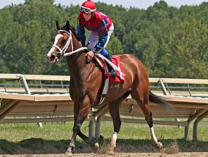Ann's Smart Dancer wins the 2011 Power By Far Stakes.