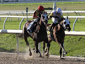 Ante Up Annie wins the 2013 Sarah Lane's Oates Stakes.