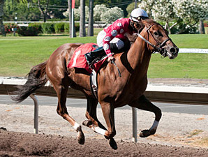 Anytime Magic wins the Everett Nevin Almeada County Stakes.