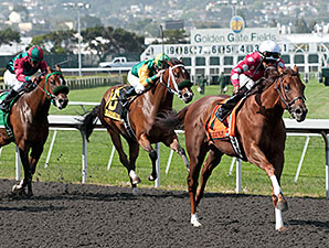 Anytime Magic wins the 2012 Lost in the Fog Stakes.