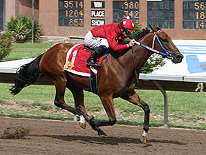 Anzaki wins 2013 Casey Darnell Pony Express