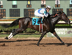 Apart wins the 2010 Super Derby Prelude.