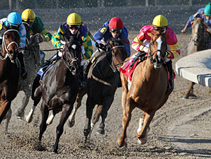 Applauding Allowance Win, Fair Grounds, December 2, 2011.