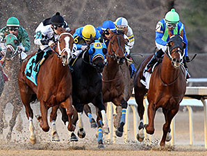 Apprehender wins the 2014 King Cotton Stakes.