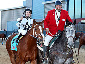 Apprehender wins the 2014 King Cotton Stakes.