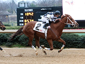 Apprehender wins the 2013 King Cotton Stakes.