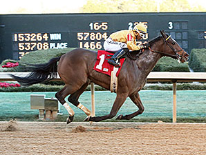 Apropos wins the 2014 American Beauty Stakes.
