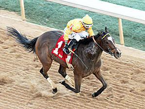 Apropos wins the 2014 American Beauty Stakes.