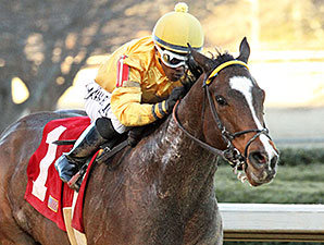 Apropos wins the 2014 American Beauty.