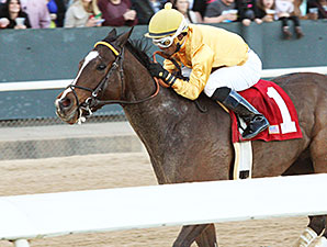 Apropos wins the 2014 Amerian Beauty Stakes.