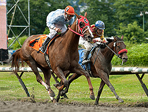 Arabella's Muse wins the 2014 Supernaturel Handicap.
