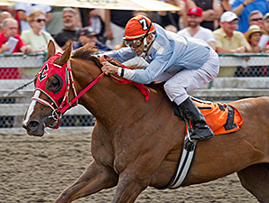 Arabella's Muse wins the 2014 Supernaturel Handicap.